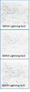 Lightning Sci web-s.jpg